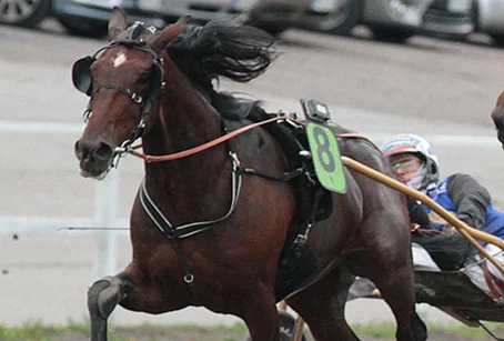 Cavalier Brodde piti pintansa Toto5-kierroksen pelatuimpana.