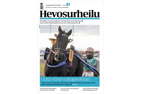 Nelivuotias tamma Club Nord Elit voitti St. Legerin. Kannen kuva: Nelli Saari.