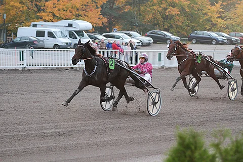 Tammachampionin voittanut Doris Hoss starttaa kolmantena kohteena ajettavassa tammojen Kasvattajakruunun alkuerässä selvänä suosikkina.