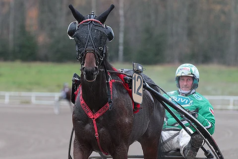 Por Nie Rock näyttää nauttivan kilpailemisesta.