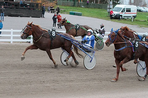 Olavi Oja-Nisulan kannustama Sävel-Taika tuli niukasti ohi Huimariinasta, joka haki raviaan alussa ja oli aavistuksen epävarman oloinen myös lopussa.