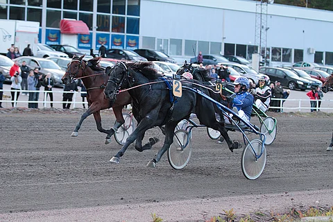 Lewis Ale oli torstain viimeistelyissä Tiia Pihamaan mukaan mainio.