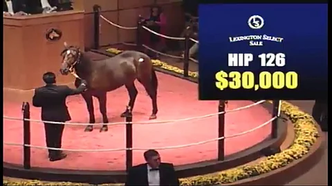 Kaksi 400 000 dollarin kauppaa Lexingtonissa toisena iltana