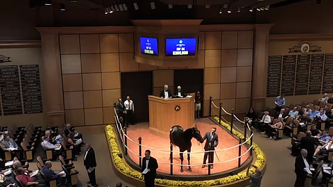 Lexingtonin varsahuutokauppa jatkuu vielä yhden illan tänään lauantaina.