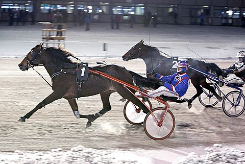 Olli Koivusen ajama Silvester on vahvoilla illan toisessa Toto5-kohteessa.