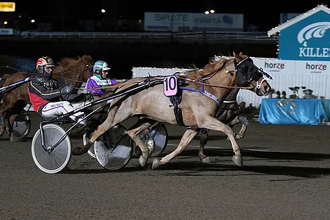 Tee Wee Paroni on noussut huippukuntoon.