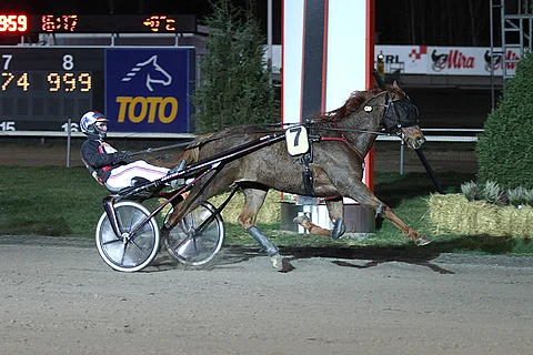 Look Complete on päätöskohteen varma.