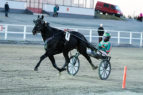Jukka Torvisen ajama Seabiscuit hallitsi keulasta.