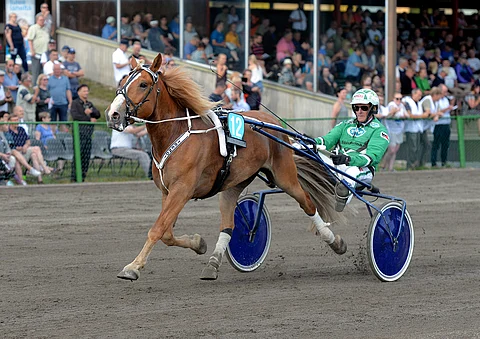 Keskimmäisen kohteen Trendi ei mahdu liikaa pelattuna ideasysteemiin.