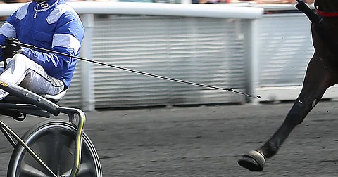 Piiska. Mitä siitä pitäisi ajatella?