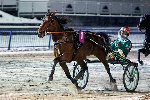 Kuvassa Hannu Torvisen ohjastama Delightful Moment hakee maanantaina kauden toista voittoaan.