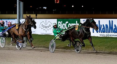 Graceful Swamp irtosi selvään voittoon ennen perässä seuranneita Majestic Mania ja Ronaldo Malibua.