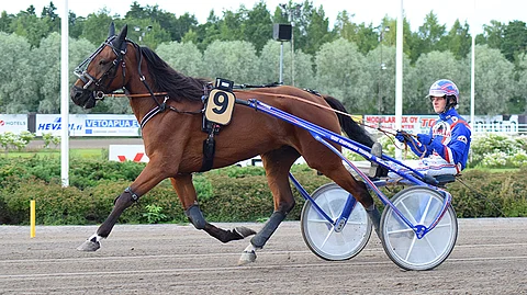 Olli Koivunen ajoi valtaosan Questionmark Men starteista.