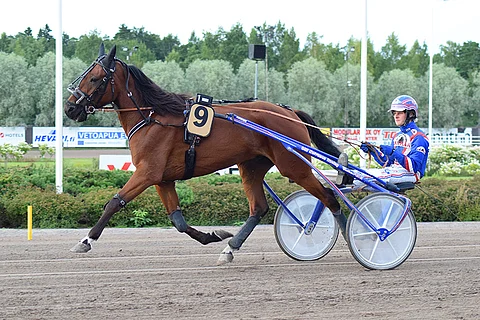 Questionmark Me on Toto65-illan ideavarma.