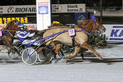 Nappijuoksun saanut Diktaattori kiri ohi kärkiparina taivaltaneista Hullumiehestä ja Polarasta.