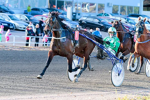 Pope pääsi pitkästä aikaa voiton makuun.