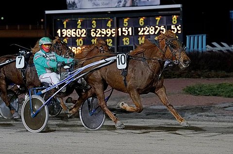 Arto Hammarin ajama Tementikko kiri avauskohteen parhaaksi.