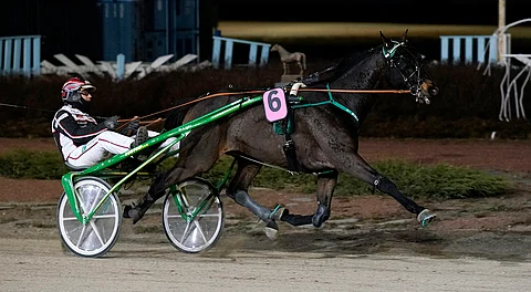T.Rex erkani vastustajiltaan Seinäjoella kautensa arvokkaimpaan täysosumaan. Kuva: Kirsi Kantokoski.