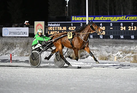 Wilhelm Nash voitti 22 uransa 51 startista.