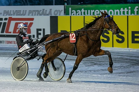 Roberto Diver kelpaa Toto65-systeemin ideavarmaksi.