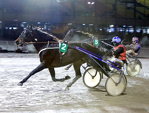 Sultan Journey hallitsi mailin kisaa alusta alkaen.