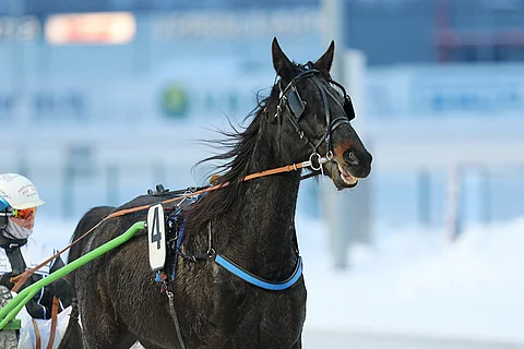 Lovely Futura on toinen päätöskohteen merkeistä.