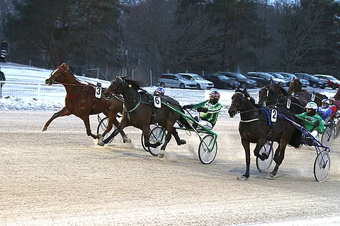 Olli Koivusen kannustama Celebration Song ehti uloimpana juuri ajoissa ohi kärkiparina taivaltaneista Popesta ja Reverend Dredistä, joka puristi toiseksi.
