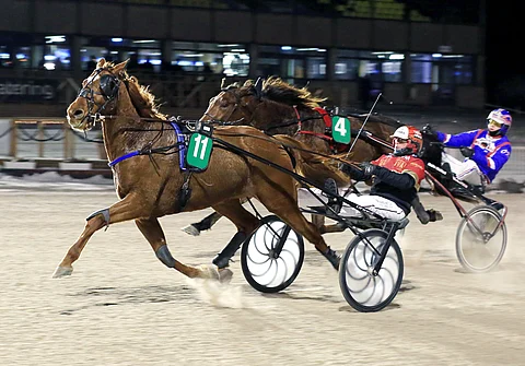 Cyrius D'ariane runttasi parhaaksi johtavan rinnalta.