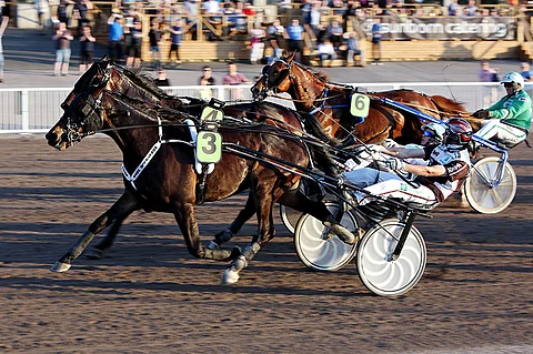 Donatello Hoss on voittopaikalla.