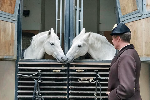 Pluto Sabata ja Conversano Bonavoja ovat Herwig Radnetterin kouluttamia lipizzanoriita. Tämä juttu ja monta muuta 11.1. perjantaina.
