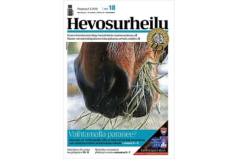 Hevonen pitää syömisestä. Kuva: Annika Nisonen.