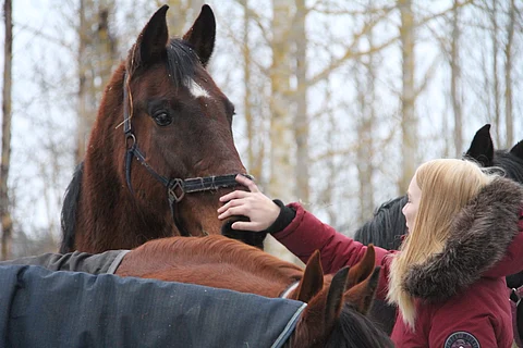 Wiseguy tervehti omistajaansa Elena Hämäläistä ennen joulua.