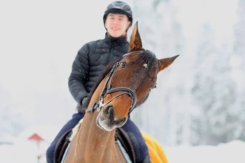 John Antell - Pederiksi Pederin paikalle. Sitten aikanaan! Kuvassa myös Osaka Hästak.