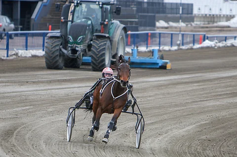 Kouvolassa radan kunnostustyöt jatkuivat Ranch Kellyn ja Hannu Torvisen ottaessa tuntumaa kaviouraan. Kuva: Satu Pitkänen