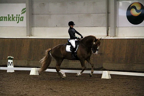 Vapun Aihe näyttää parastaan testiratsastaja Siiri Kyrön kanssa.