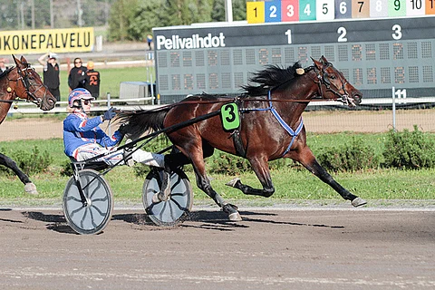 Staro Moschino on rohkeimmille pelureille oiva idea.