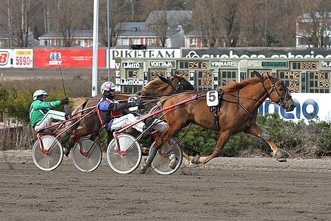 Tähen Toivomus puristi ohi tallikaveri Ellin Sisun. Kuva: Roosa Lindholm