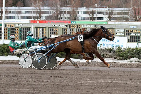 Mysteerio tunnettiin lakeuksien taistelijana. Kuva: Roosa Lindholm