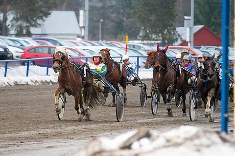 Piirron Tuisku on yksi kolmesta varmasta.