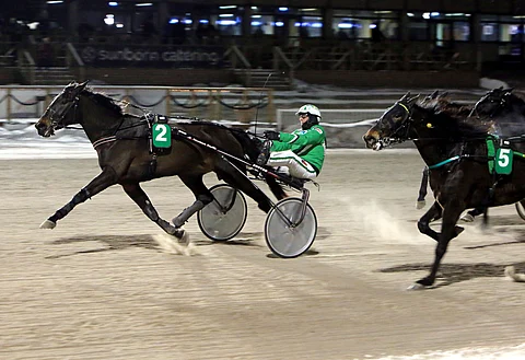 Ari Moilasen kuskaama India Web kiri helpoon ykköstilaan.