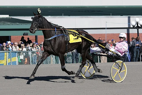 Seinäjoki teki nimekkään värväyksen, kun On Track Piraten saapuu lakeuksille. Kuva: Mike Lizz
