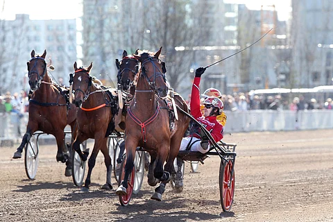 Viime vuonna Finlandia-ajon voittanut Pastore Bob kiihdyttää tänä vuonna kuutosradalta.
