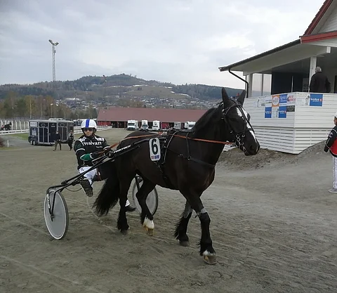 Mikael Östman menossa radalleTekno Odinin pojan Öygard Pålin kanssa. Kuva: Sanna Liiri
