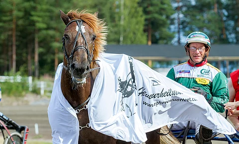 Sokru alisuoritti sunnuntaina Lahdessa rajusti. Torstaina tamma pääsee hierojan käsittelyyn.