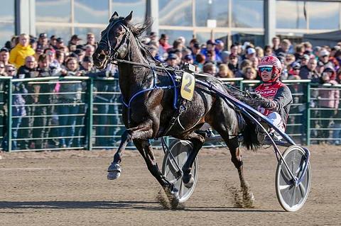Atupem voitti Seinäjoki Racen viime keväänä Santtu Raitalan ajamana.