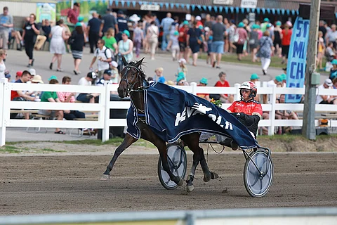 Cocktail Princess on illan ideavarma.