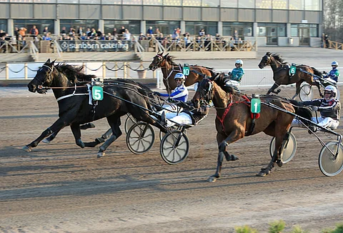 Lord Ivar (numero 5) piti kuin pitikin voittoon keulajuoksun päätteeksi.