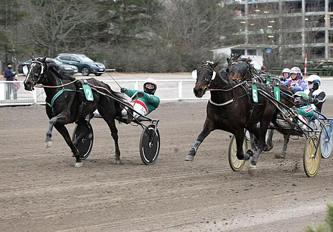 Hannu Torvisen ohjastama Stardust Fibber ehti kuin ehtikin keulassa ravanneen April Sisun ja Jukka Torvisen ohi.