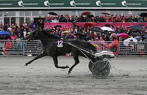 Johan Untersteiner nähdään jälleen Aetos Kronoksen kärryillä. Kuva: Jarno Unkuri
