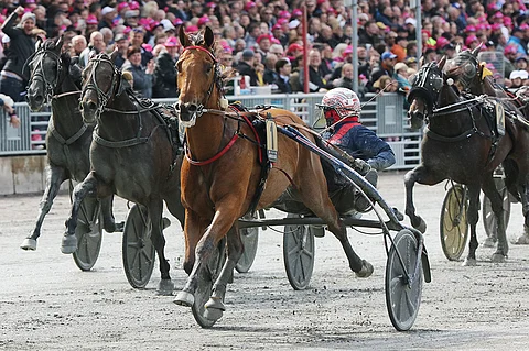 Maailman paras ruuna Aubrion du Gers on menehtynyt onnettomuudessa. Kuva: Jarno Unkuri